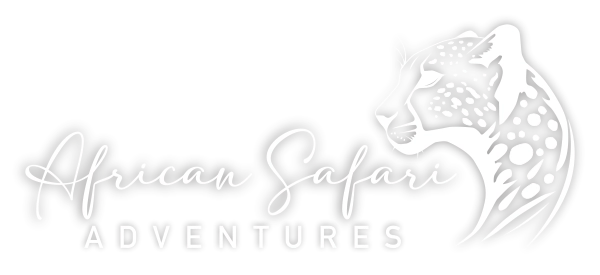 African Safari Adventures